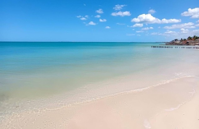 Villa Titi is 50 meters from the beach, sea view and private pool