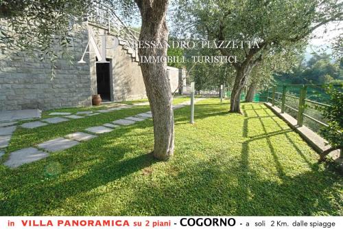 Villa tra gli ulivi - bellissima vista panoramica