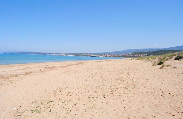 Villa unter Pinien am Meer