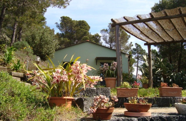 Villa Verde,vicino 5terre,meravigliosa Vista Mare Cod Regliguria 011005-lt-0226