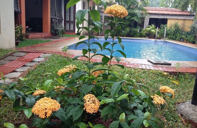 Villa mit einem privaten Schwimmbad.