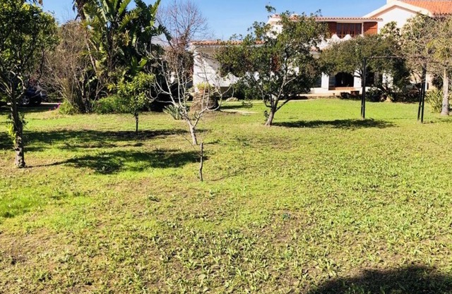 Villa with large garden 80 mt beach