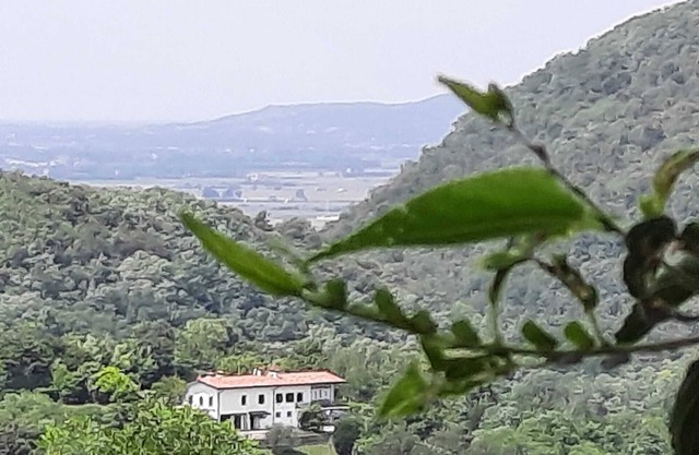 Villa with park and swimming pool in the Euganean Hills heart