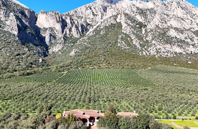 Villa with stunning views to the mountains 5km from the beach