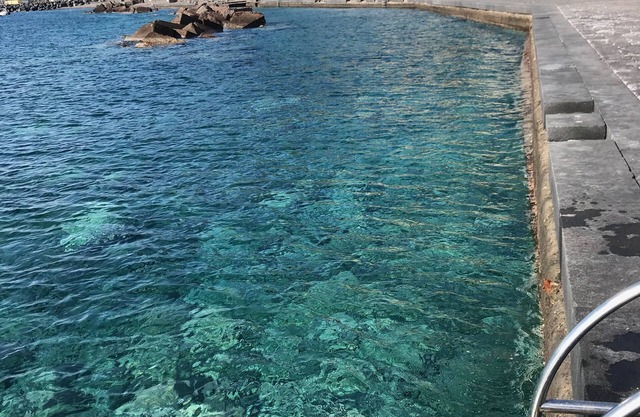 VILLALAVINIA 3, DER GARTEN AM MEER