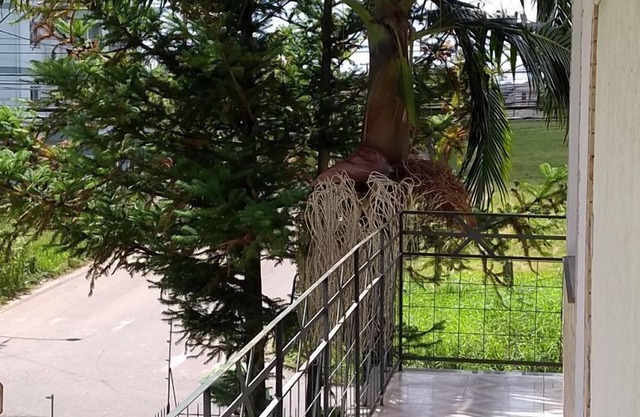 Ville House Hotel Canoas