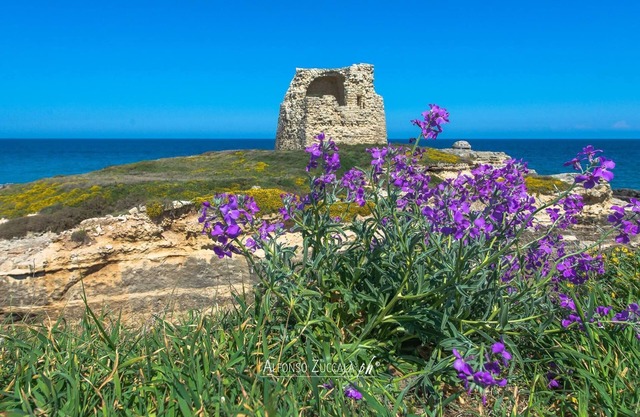 Villetta Cati. Meerblick mit Garten und Parkplatz. Ideal für 2 Familiengruppen