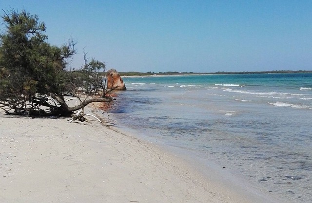 Villetta tauchte im grünen Torre Guaceto für einen ruhigen Urlaub ein