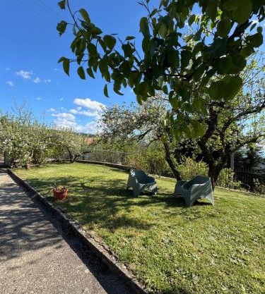Villetta Indipendente fra i pini della Sila CS