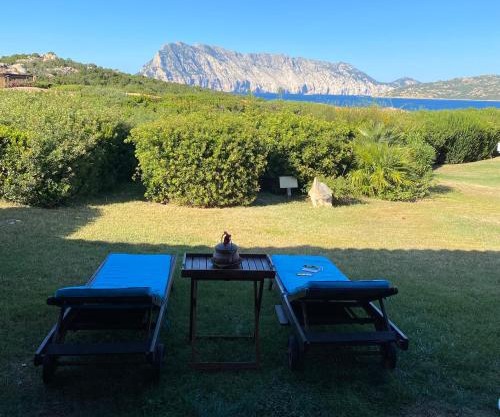 villino D5 coda cavallo villaggio cala paradiso