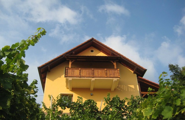 Vineyard cottage Ucman