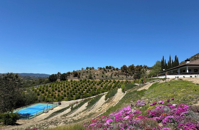 Vineyard Farmhouse with Private Pickleball in Temecula