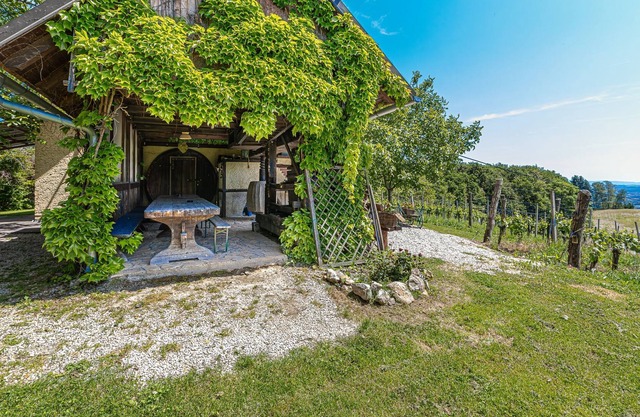 Vineyard Home Martin With Sauna, Bizeljsko, Slovenia