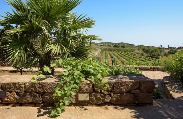 [Vineyard View + Garden + Barbecue] "Lemon Yellow Dammuso"