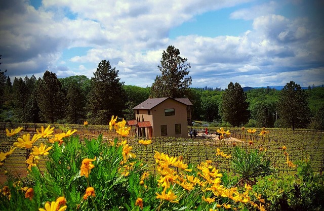 Vineyard View Sunset Suite
