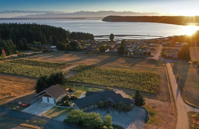 Vineyard Villa + Guesthouse/ Swim Spa +Hot tub With A/C