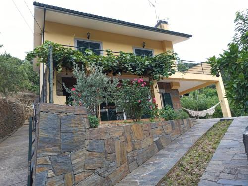 Vineyards Valley House