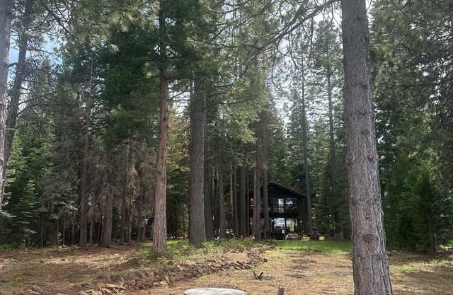 Vintage 4-bedroom cabin in Lake Almanor West with WiFi