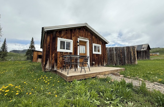 Vintage Cabin Near Steamboat with Mountain Views and Hot Tub Access