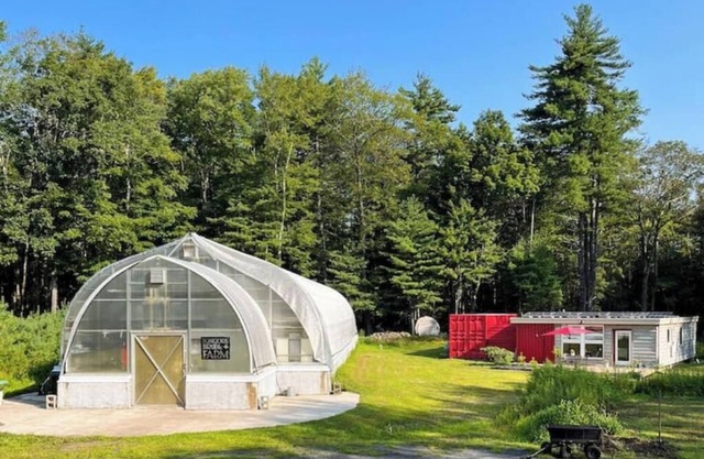 Visit a farm-stay container house on a 30-acre organic forest in Stone Ridge, NY