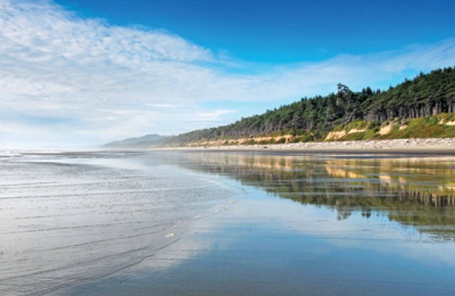 Besuchen Sie den wunderschönen Leadbetter Point State Park & Wildlife Refuge!