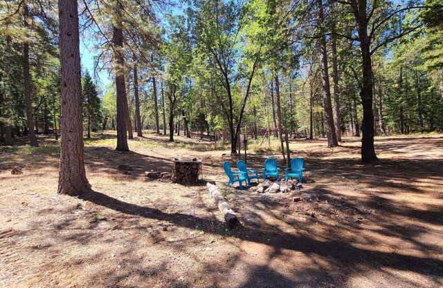 Visit the Homestead! Cozy 2-bedroom house in charming Oak Run with WiFi, AC