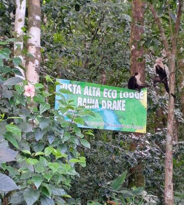 Vista Alta Ecolodge Bahia Drake