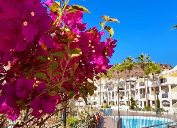 Vista Bella - Planta baja al lado de la piscina - Ground floor by the pool