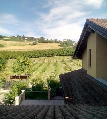 Vite diPinte 1 bilocale in langa