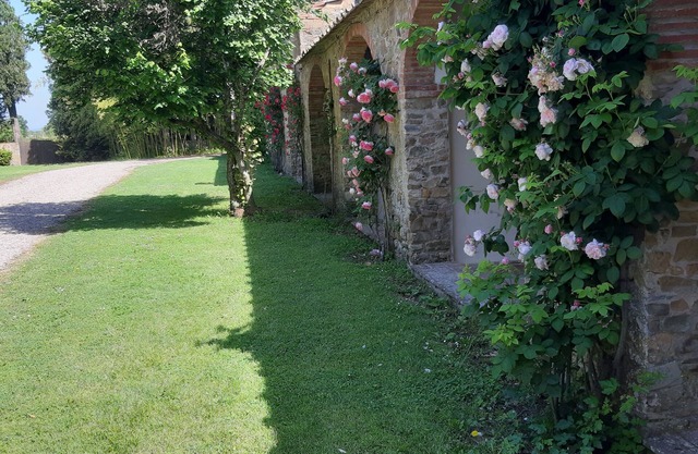 Tenuta di Vitiano - Arezzo (Region)