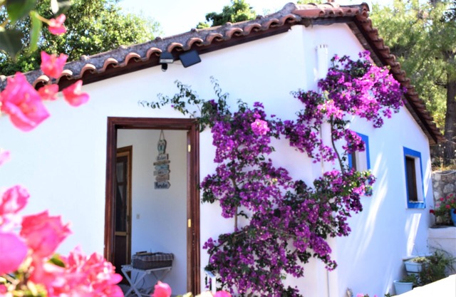 Voro Cottage, Lithakia Village, privates Tauchbecken und Panoramablick auf das Meer.