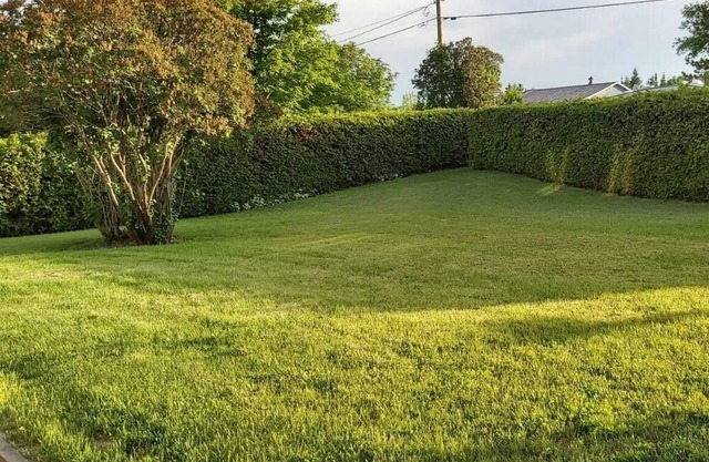 Vrbo Property