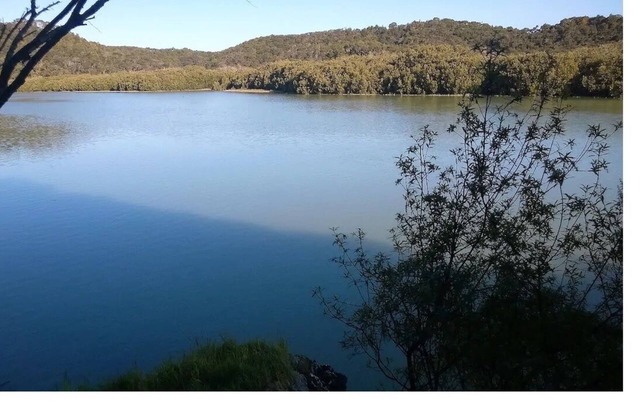 Waikare Waters - Luxury Cabin Complex in a private wilderness and waterway.