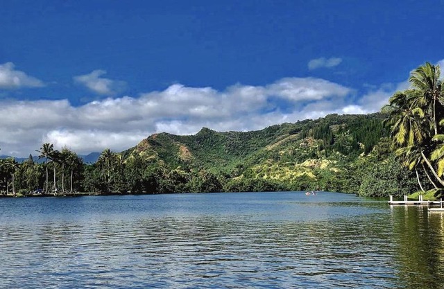 Wailua Riverside Cottage - TVNC #1293 AC Kayaks, Paddle Boards!