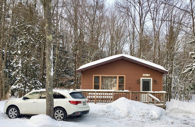 2-Zimmer-Hütte am AuTrain-See! Zugang zum Strand, Sauna, erkunden Sie Pictured Rocks!