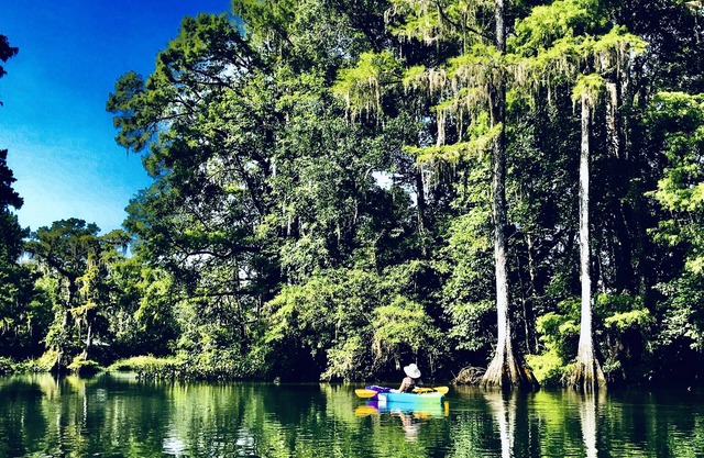 Wakulla River Retreat- Manatee Cottage