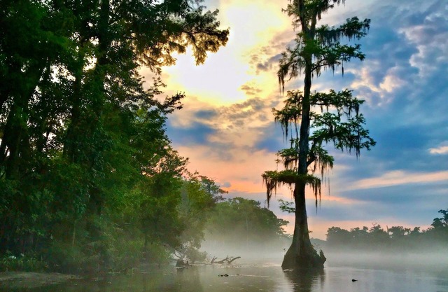 Wakulla River Retreat - a nature lover’s paradise