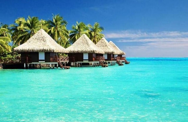 Waldorf!! Stay in style! Relax in style! Enjoy More!