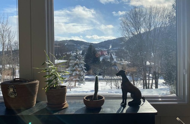 Warm chalet with VIEW on the slopes!