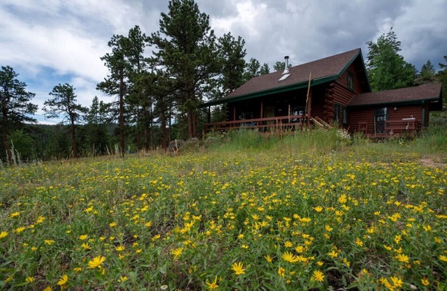 Warm Woodland Getaway with Land