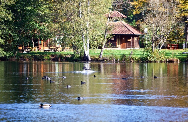 Wasgau - Blick - Ferienwohnung am Schöntalweiher