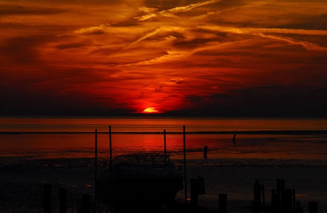 Begleiten Sie uns für diesen Herbst / Flucht in die Chesapeake Bay! Thanksgiving-Preise angeboten!