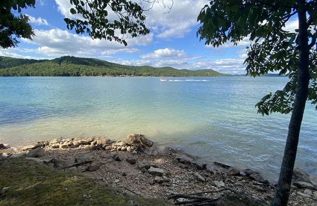 Water's Edge Newly Updated - easy access just steps to Beaver Lake
