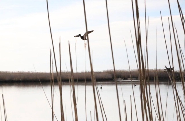 Blick auf das Wasser Bungalow Minuten zum Hampton Strände