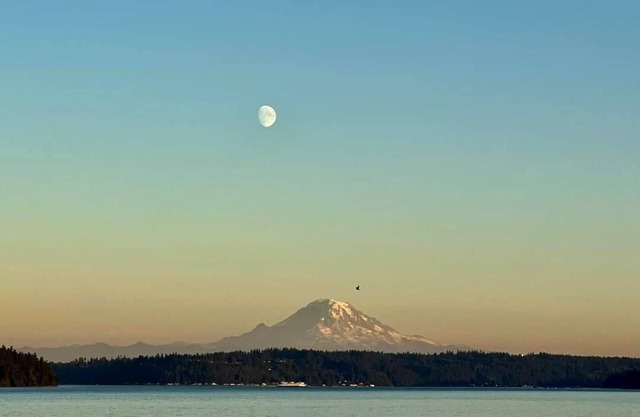 Waterfront 2 bed, 2 baths, 1364 sq ft, views of Mt Rainer, Seattle, and more.