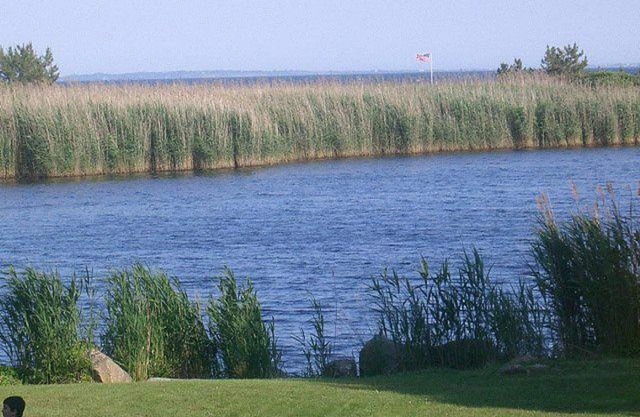 Hundefreundliche QEBA Private Beach Home w / Schöne Aussichts-