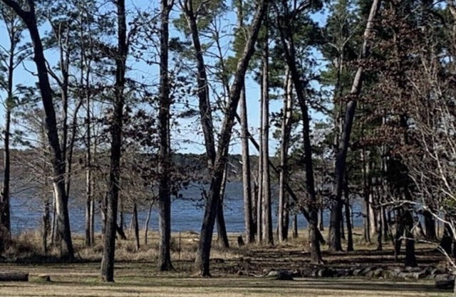 Waterfront beauty on Lake Sam Rayburn!