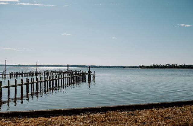 WATERFRONT Completely Renovated Cozy Mid Century Rental Unit #4