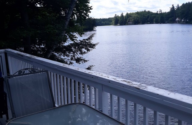 Waterfront cottage on large, wooded lot with amazing swimming and fishing