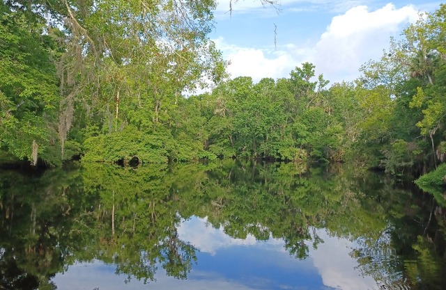 Waterfront Cottage on the scenic Aucilla River.
